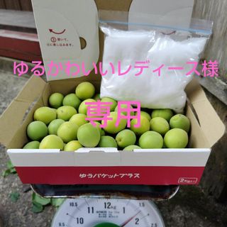 ゆるかわいいレディース様　専用(その他)