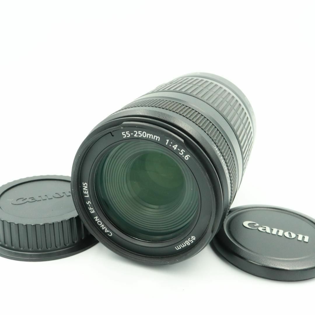 42.Canon EFS 18-200mm ズームレンズ あどけなく 42.Canon EFS 18-200mm ズームレンズ あどけなく