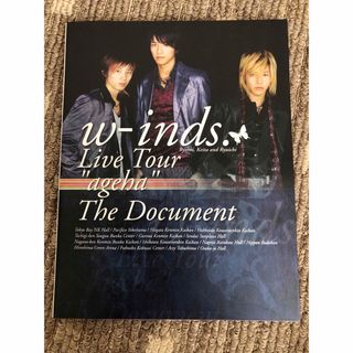 w‐inds. LiveTour“ageha” ドキュメント写真集(アート/エンタメ)