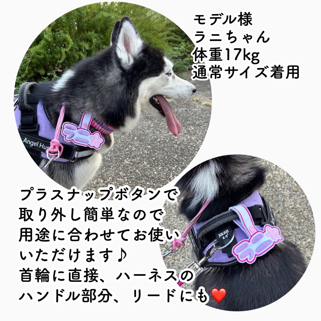 ユリウスk9☆トレポンティ☆ハーネス☆ネームタグ☆ネームラベル ユリウスk9☆トレポンティ☆ハーネス☆ネームタグ☆ネームラベル