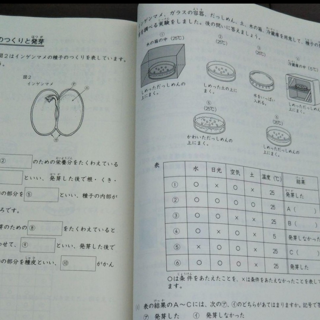 要確認日能研 夏期講習 小学 4年 標準 テキスト 解答 の通販 by 要確認日能研 夏期講習 小学 4年 標準 テキスト 解答 の通販 by