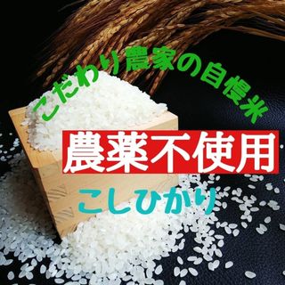 こだわり農家の自慢米  白米10㎏(無農薬栽培)　　　　　令和5年産(米/穀物)