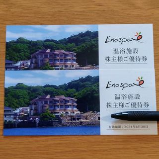 江の島アイランドスパ　株主優待(その他)