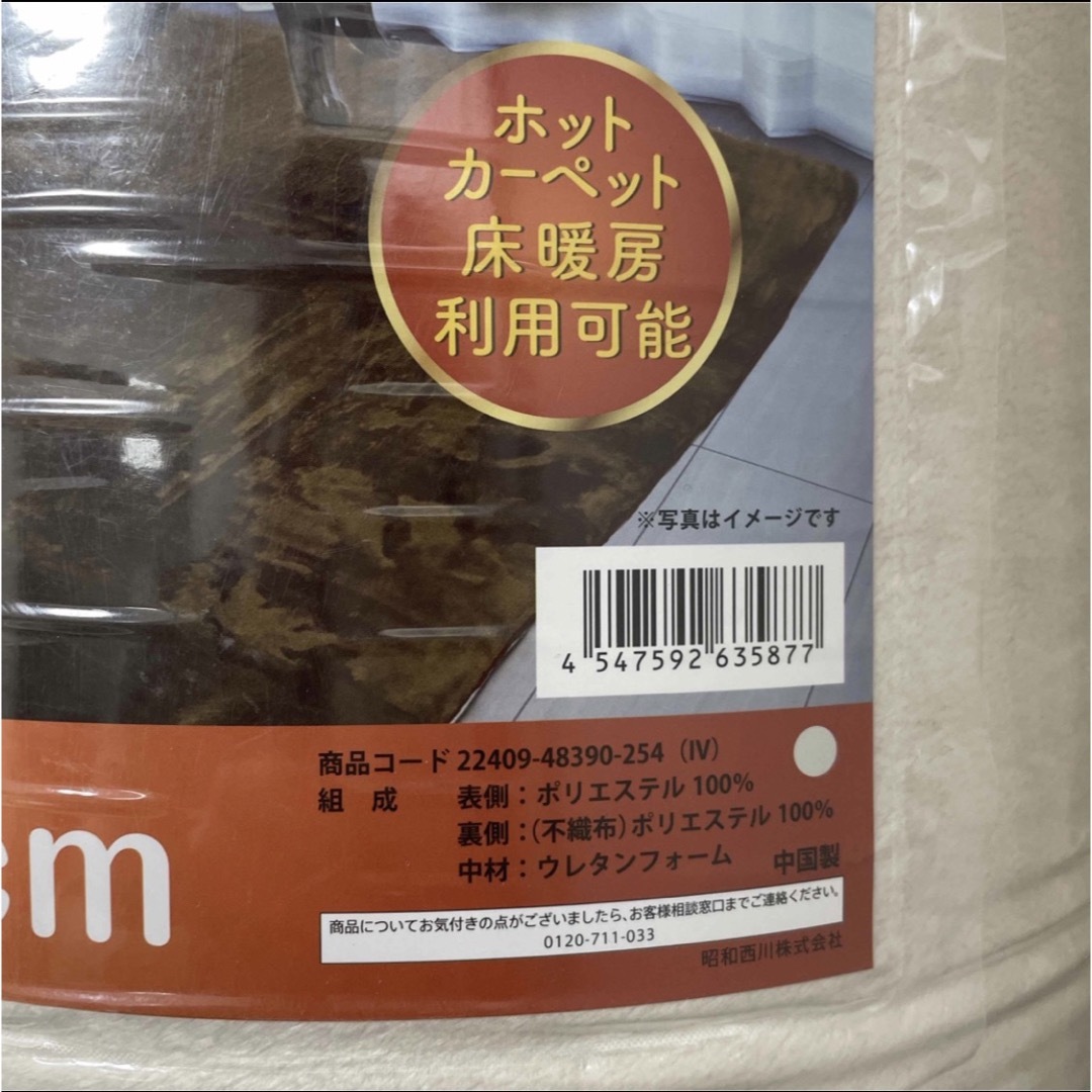 コストコ 西川 フランネルラグ 1本 床暖対応 極厚 コストコ 西川 フランネルラグ 1本 床暖対応 極厚