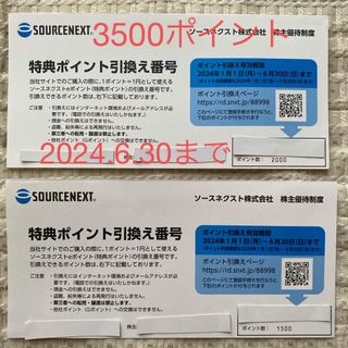 ソースネクスト　株主優待(ショッピング)