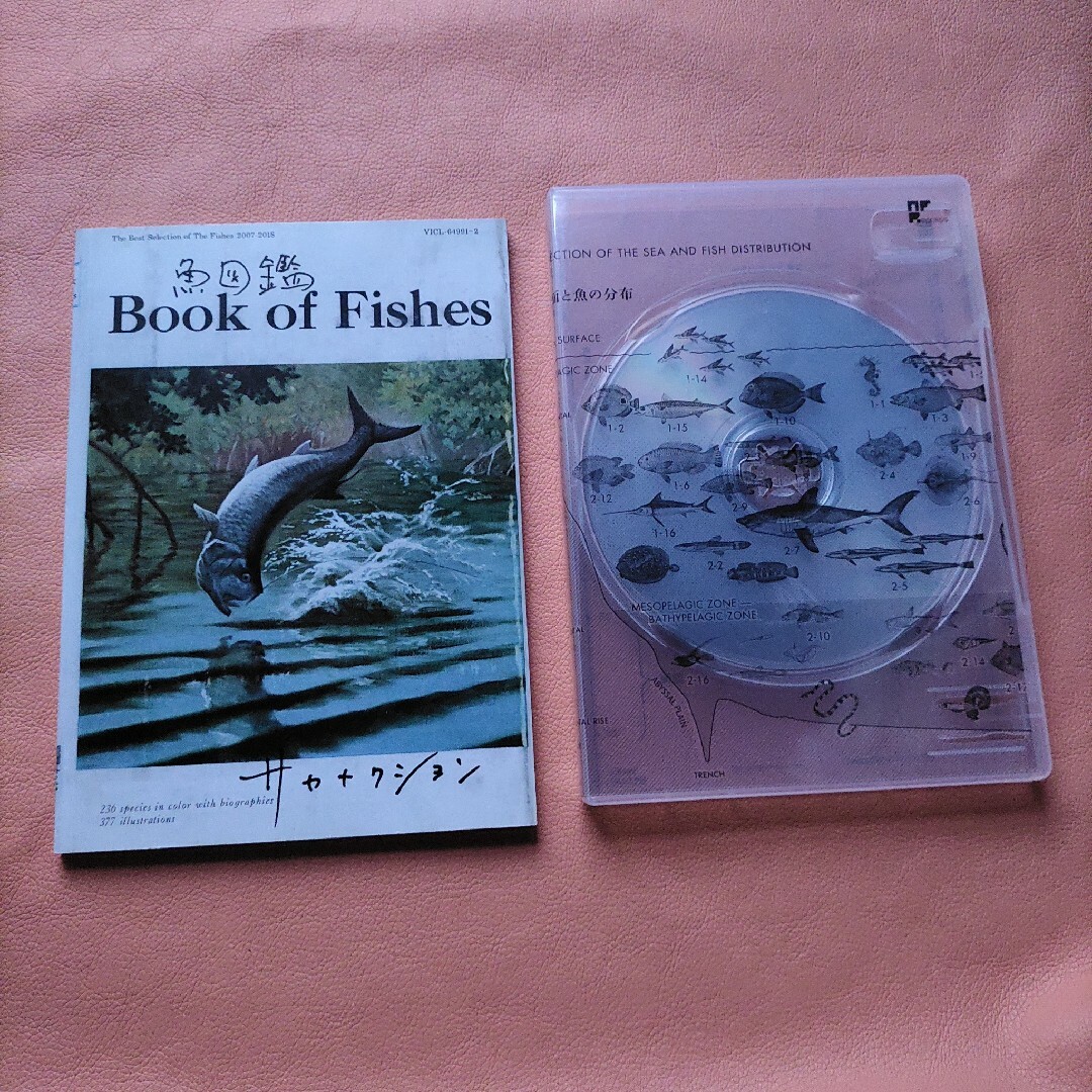 サカナクション 魚図鑑の通販 by きり's shop|ラクマ サカナクション 魚図鑑の通販 by きり's shop|ラクマ
