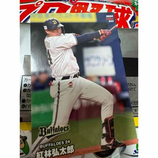 オリックス・バファローズ大自然 しょっぱく 山崎 颯一郎背番号21 オリックス・バファローズ大自然 しょっぱく 山崎 颯一郎背番号21