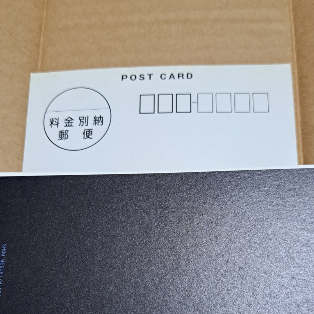 上杉昇 柴崎浩 (WANDS) al.ni.co ポストカード クリスマスカード 上杉昇 柴崎浩 (WANDS) al.ni.co ポストカード クリスマスカード