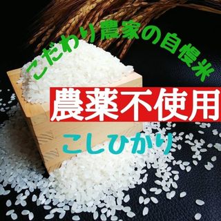 こだわり農家の自慢米  白米10㎏(無農薬栽培)　　　　　令和5年産(米/穀物)