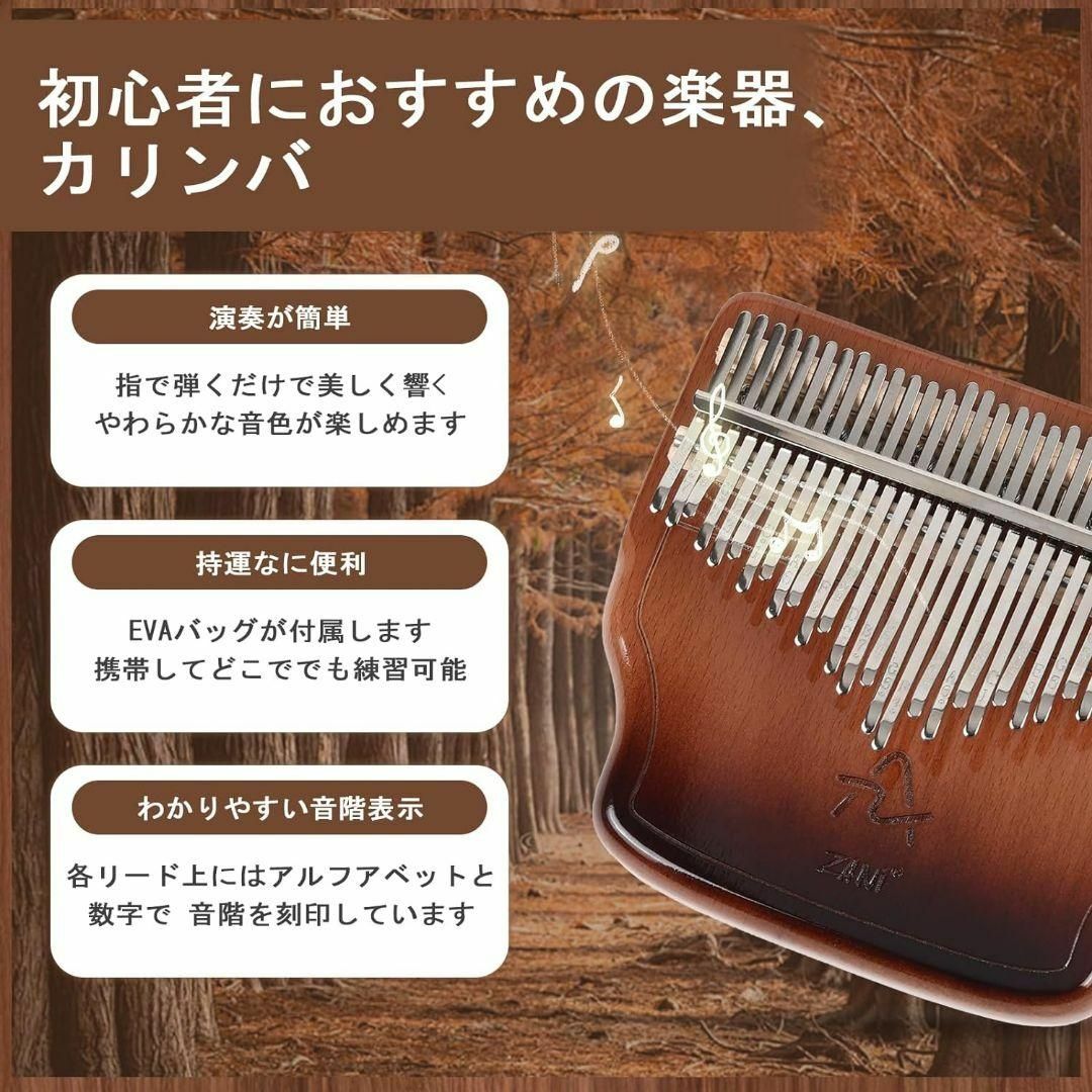 収納ケース付き ✨ カリンバ 34キー C調 半音付き 親指ピアノ 黒