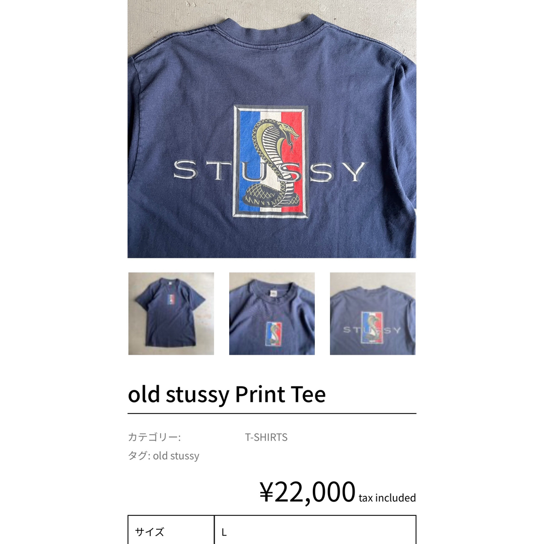 STUSSY - 激レア!1990's OLD STUSSY “KING COBRA” Tシャツの STUSSY - 激レア!1990's OLD STUSSY “KING COBRA” Tシャツの