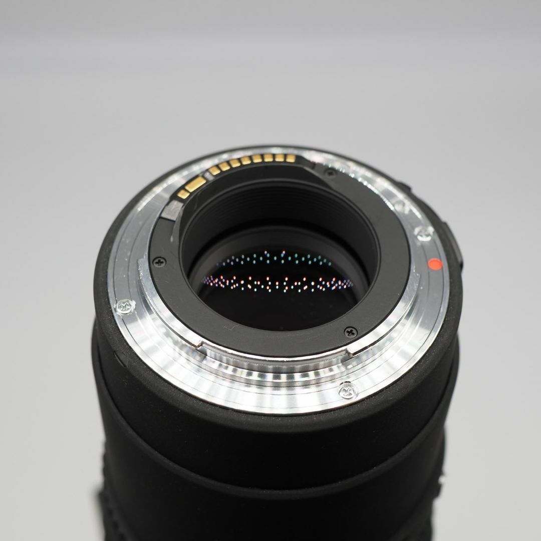 SIGMA - SIGMA APO 300-800mm F5.6 EX DG HSM キヤノン用の通販 SIGMA - SIGMA APO 300-800mm F5.6 EX DG HSM キヤノン用の通販