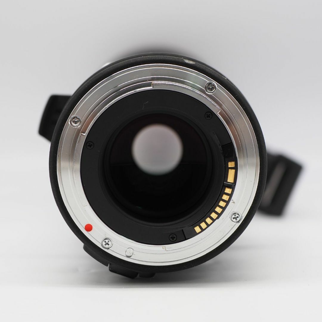 SIGMA - SIGMA APO 300-800mm F5.6 EX DG HSM キヤノン用の通販 SIGMA - SIGMA APO 300-800mm F5.6 EX DG HSM キヤノン用の通販