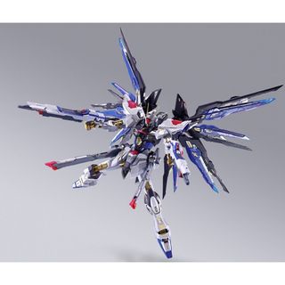 バンダイ(BANDAI)のMETAL BUILD FESTIVAL 2024 ストライクフリーダムガンダム(キャラクターグッズ)
