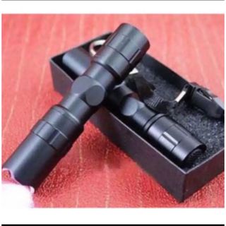 警視庁機動隊/米国警察/FBI専用LED懐中電灯 痴漢防止　新品(その他)