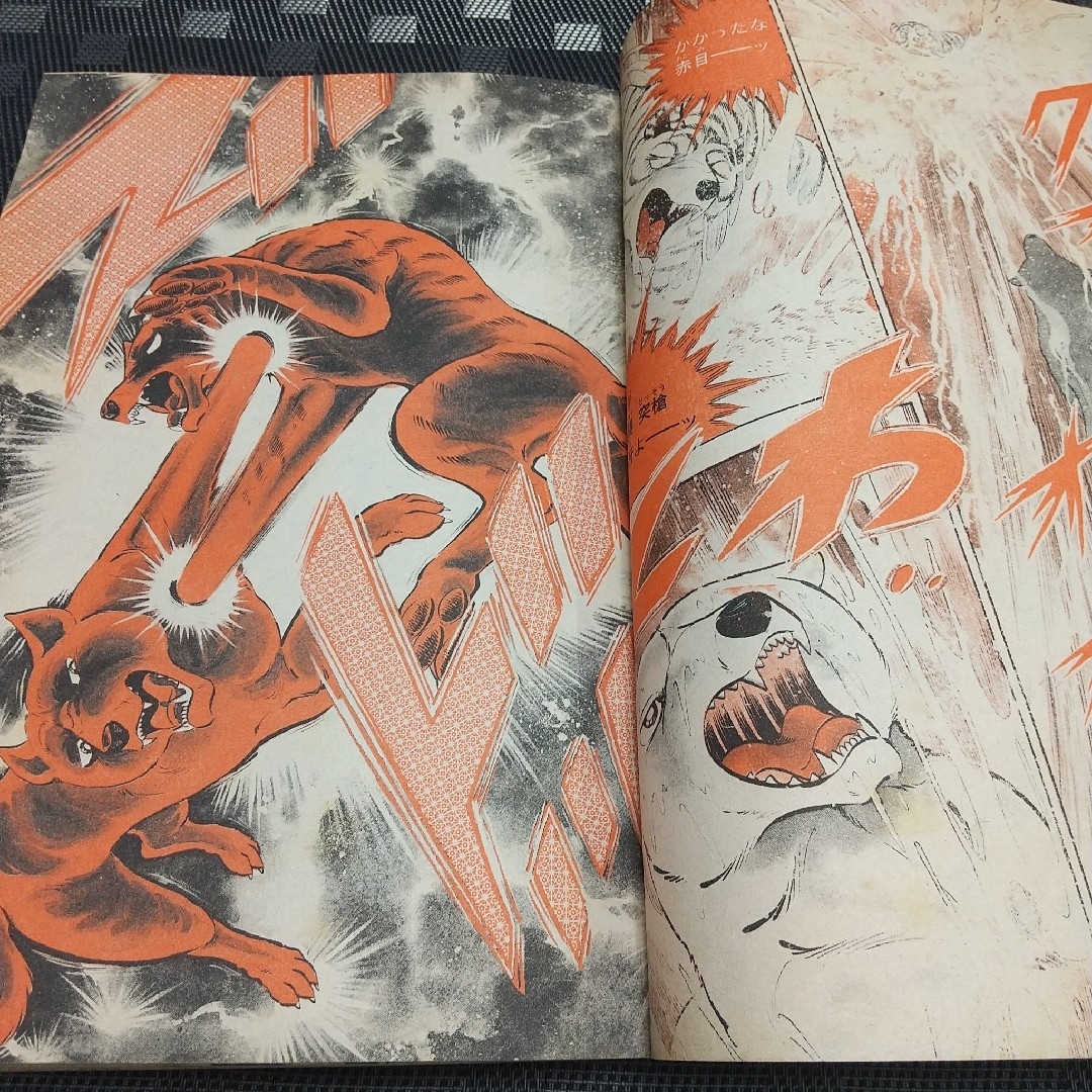 集英社 - 週刊少年ジャンプ 1986年49号※ミスターホー 読切 鳥山 集英社 - 週刊少年ジャンプ 1986年49号※ミスターホー 読切 鳥山
