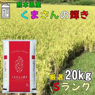 熊本県産 白米 新米 くまさんの輝き【20kg】 最高級米【特Sランク】(米/穀物)