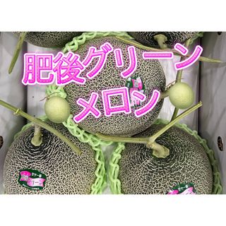 果物　メロン　肥後グリーンメロン　珍品　お中元　シーズン　贈答　セール　大玉　甘(フルーツ)