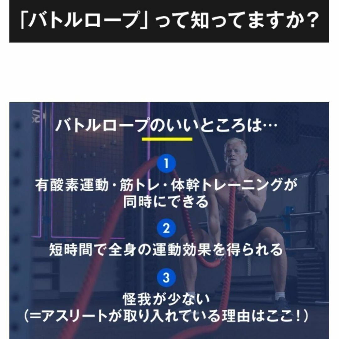 新着 ロープ不要バトルロープ 全身トレーニングアイテム Z-Rope 新着 ロープ不要バトルロープ 全身トレーニングアイテム Z-Rope