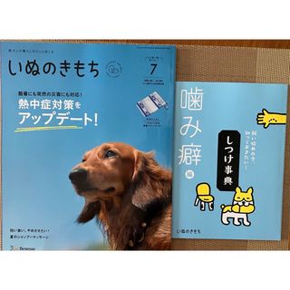 ベネッセ(Benesse)のいぬのきもち  ７月号(犬)