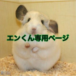 エンくん専用ページ(ショルダーバッグ)