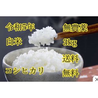 令和5年度産 新米白米コシヒカリ3kg (米/穀物)