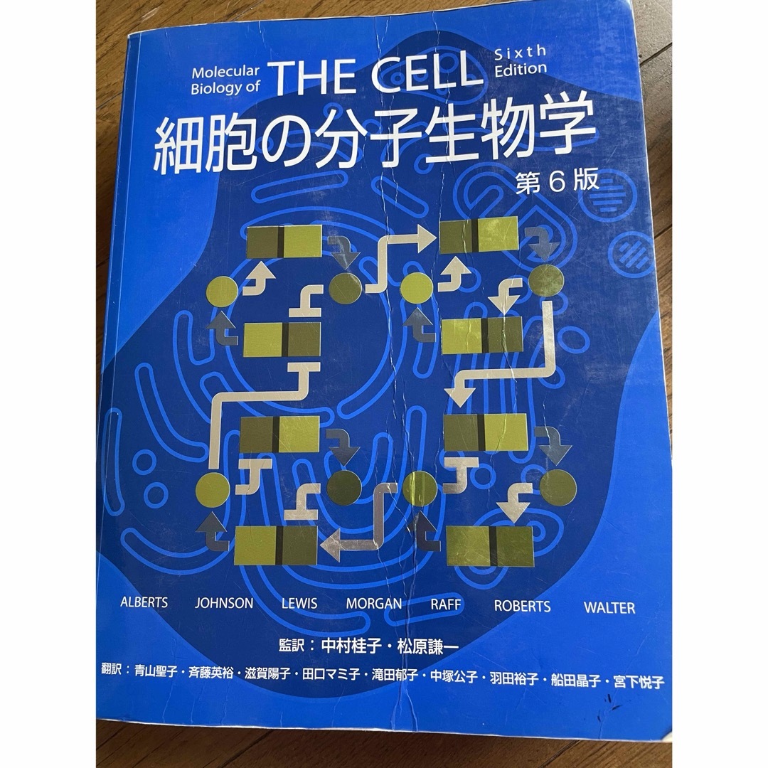 THE CELL 細胞の分子生物学 第6版(細胞の分子生物学 固まれ 第6 THE CELL 細胞の分子生物学 第6版(細胞の分子生物学 固まれ 第6