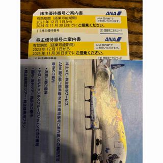 エーエヌエー(ゼンニッポンクウユ)(ANA(全日本空輸))のANA株主優待券(その他)