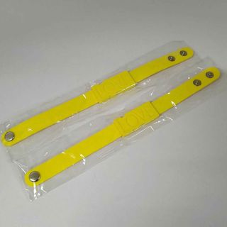 モーニング娘 2014ツアーグッズ ラバーバンド 飯窪春菜 ハロプロ 2点 セット(その他)