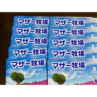 ’24.９/ 30 迄 ⭐︎ 千葉県 マザー牧場 ⭐︎ 入園券１０枚セットです！(動物園)