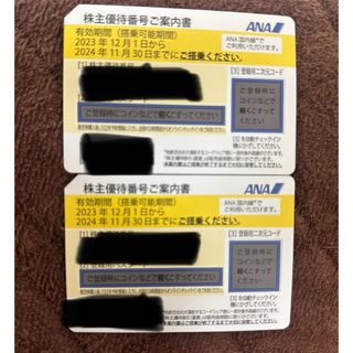 ANA株主優待券　2枚(その他)