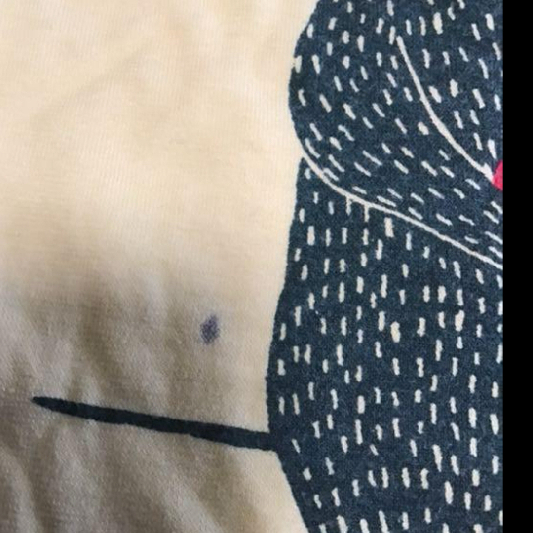 tout petit Tシャツ キッズ/ベビー/マタニティのキッズ服男の子用(90cm~)(Tシャツ/カットソー)の商品写真