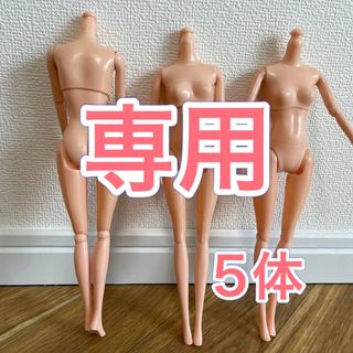【バービー 人形】可動ボディ 1/6 ドール ナチュラル 26cm 着せ替え(その他)