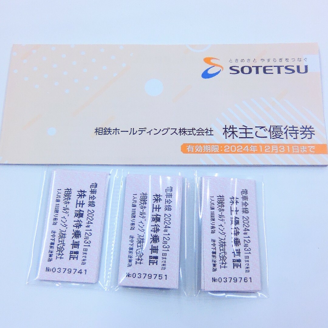 相鉄線　株主優待　乗車証　30枚　優待券冊子　送料無料　9580円