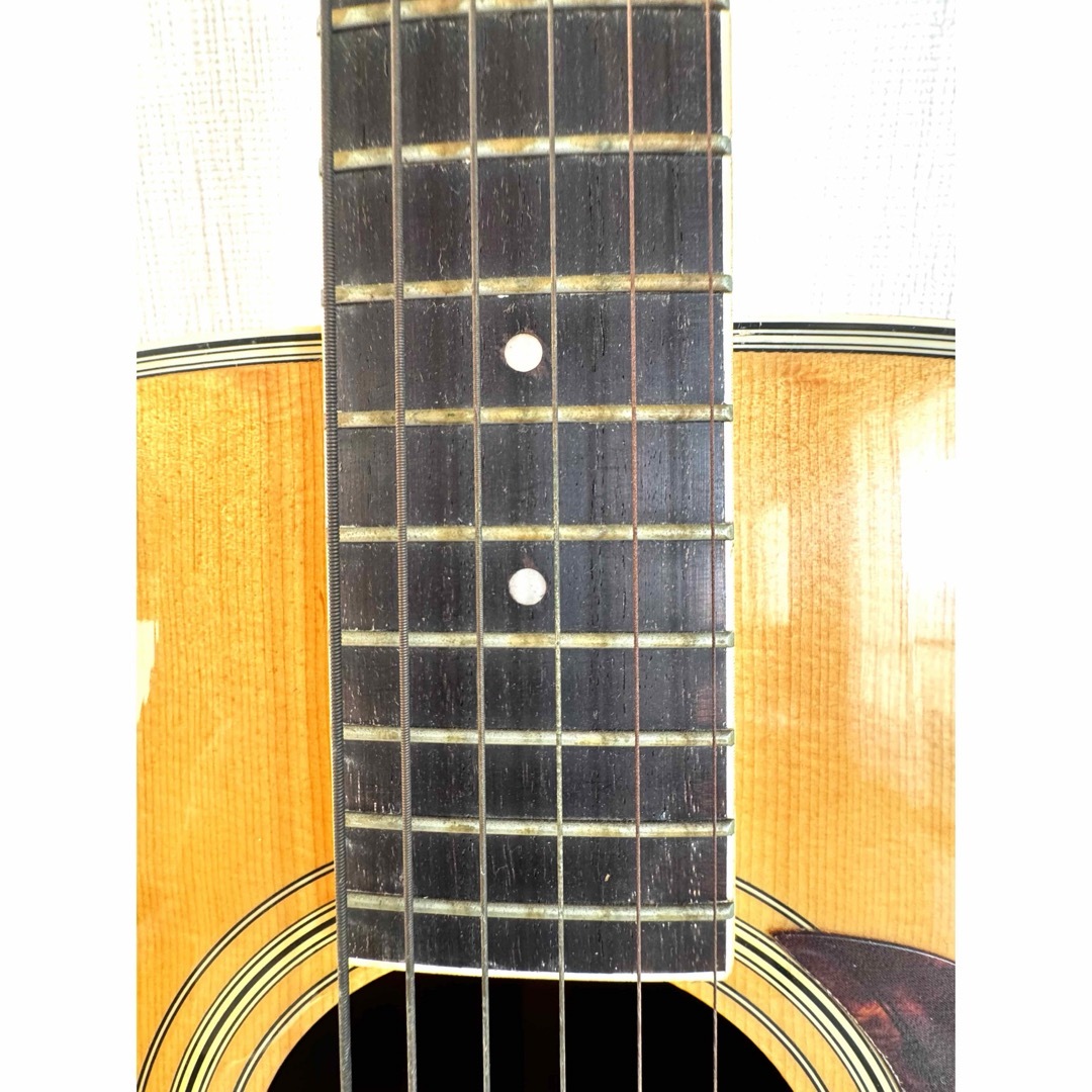 Morris MF-212 アコースティックギター 本体+ハードケース Morris MF-212 アコースティックギター 本体+ハードケース