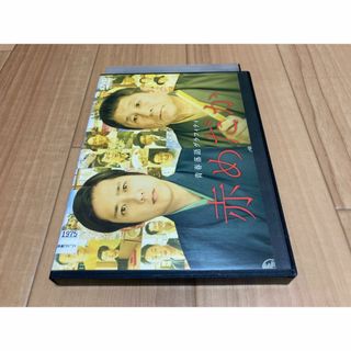 青春落語グラフィティ 赤めだか DVD　二宮和也 ビートたけし(TVドラマ)