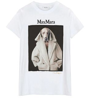 マックスマーラ(Max Mara)のマックスマーラ　ドックプリントTシャツ(Tシャツ(半袖/袖なし))