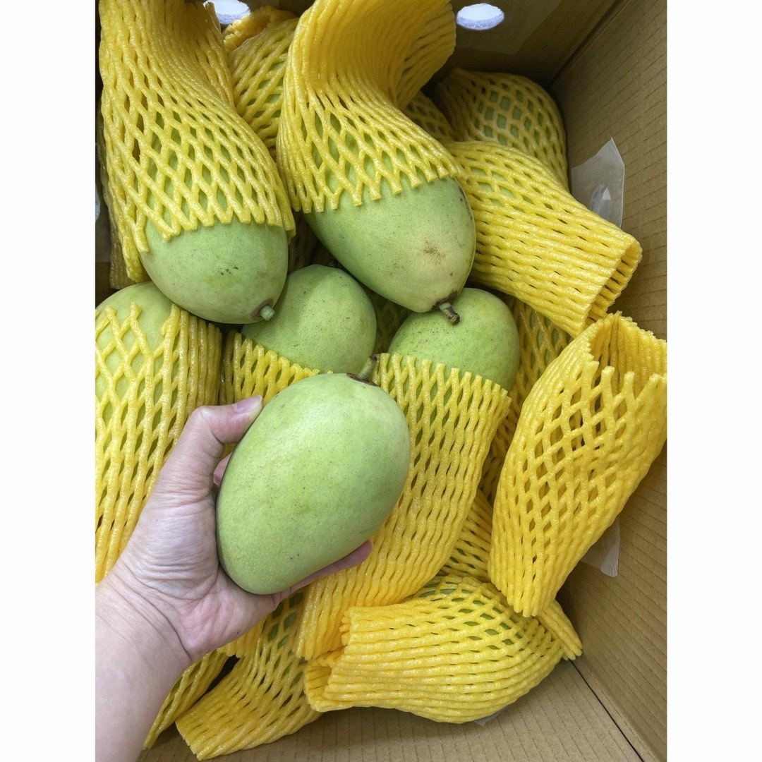 さら様 専用 食品/飲料/酒の食品(フルーツ)の商品写真