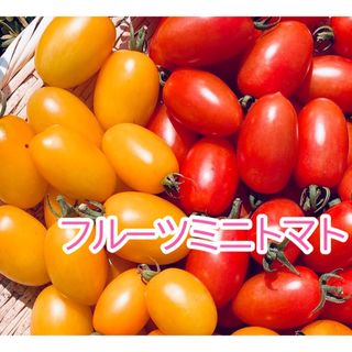 完熟フルーツミニトマト　アイコ2色ミックス　新鮮　ヘタなし良品(野菜)