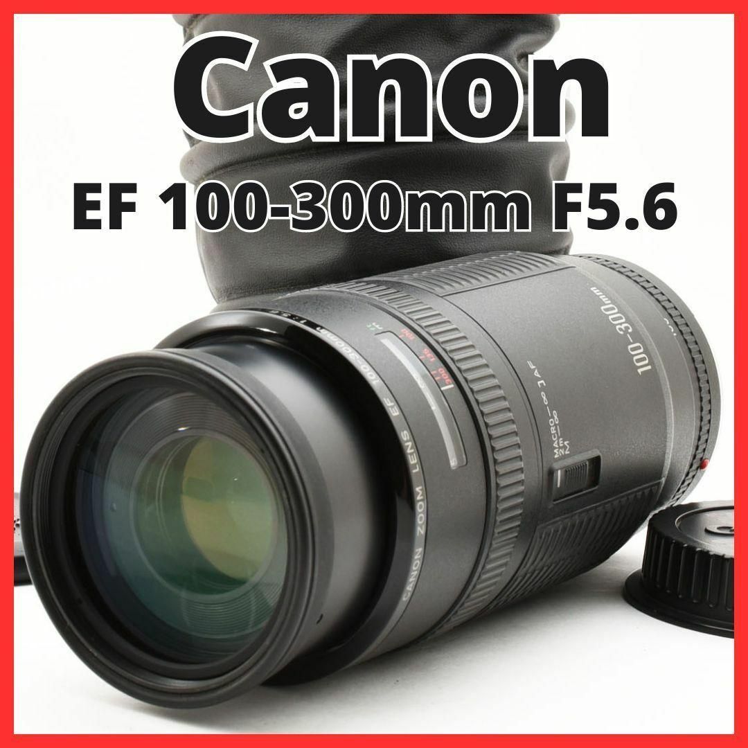 CANON 拾っ f/5.6 100-300mm CANON 拾っ f/5.6 100-300mm