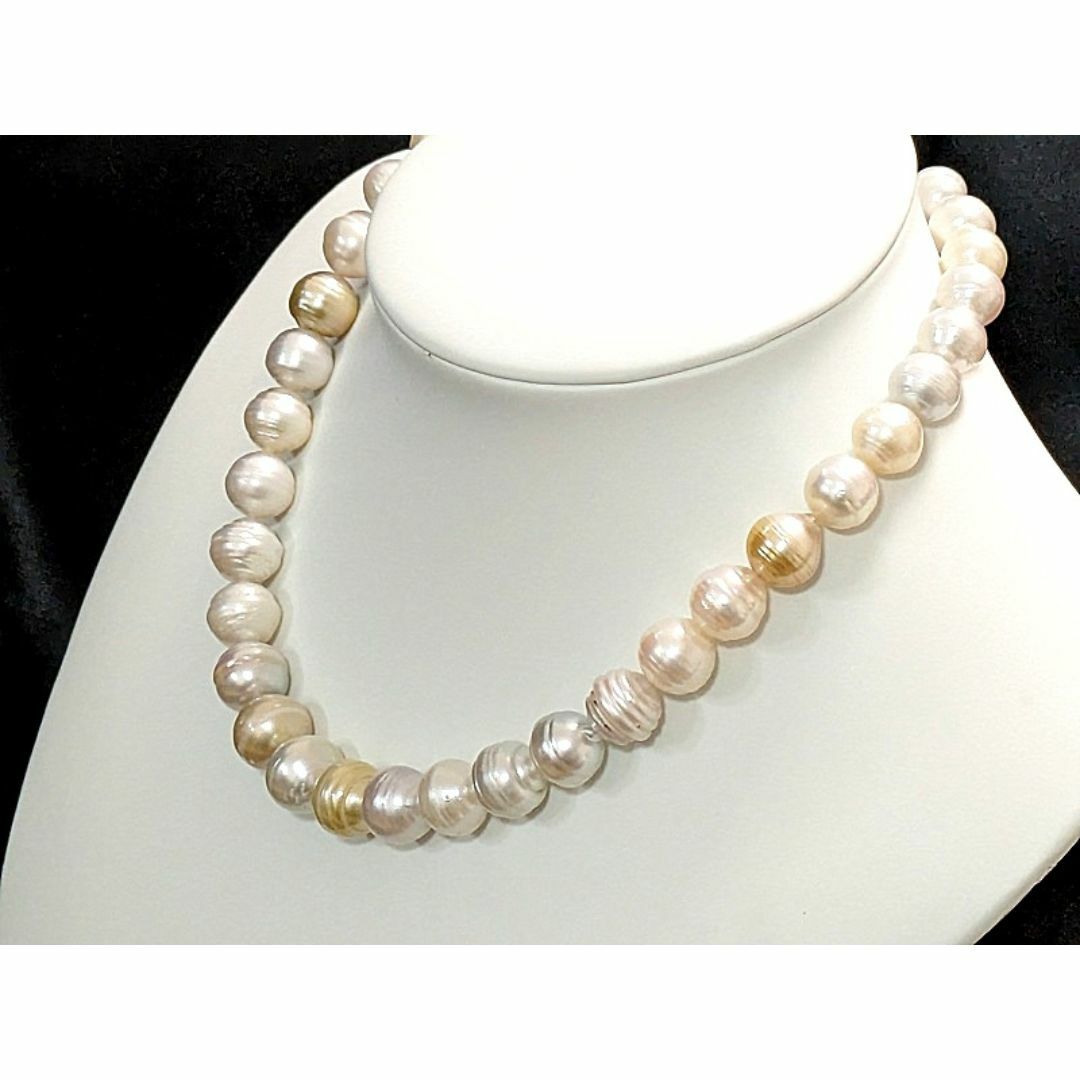 pearl - 一味違うお洒落、個性的なサークルが魅力的 南洋白蝶 pearl - 一味違うお洒落、個性的なサークルが魅力的 南洋白蝶