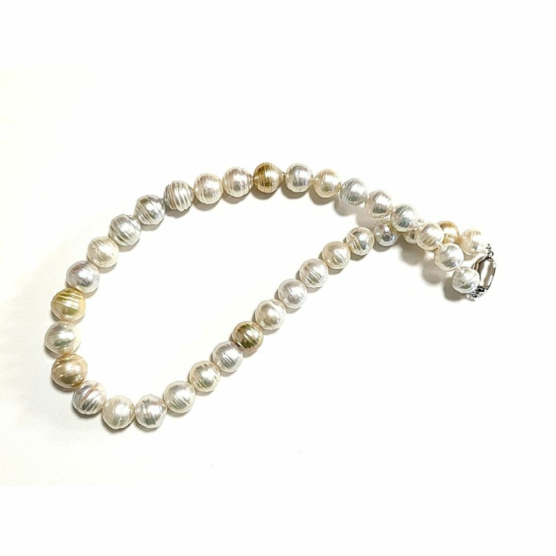 pearl - 一味違うお洒落、個性的なサークルが魅力的 南洋白蝶 pearl - 一味違うお洒落、個性的なサークルが魅力的 南洋白蝶