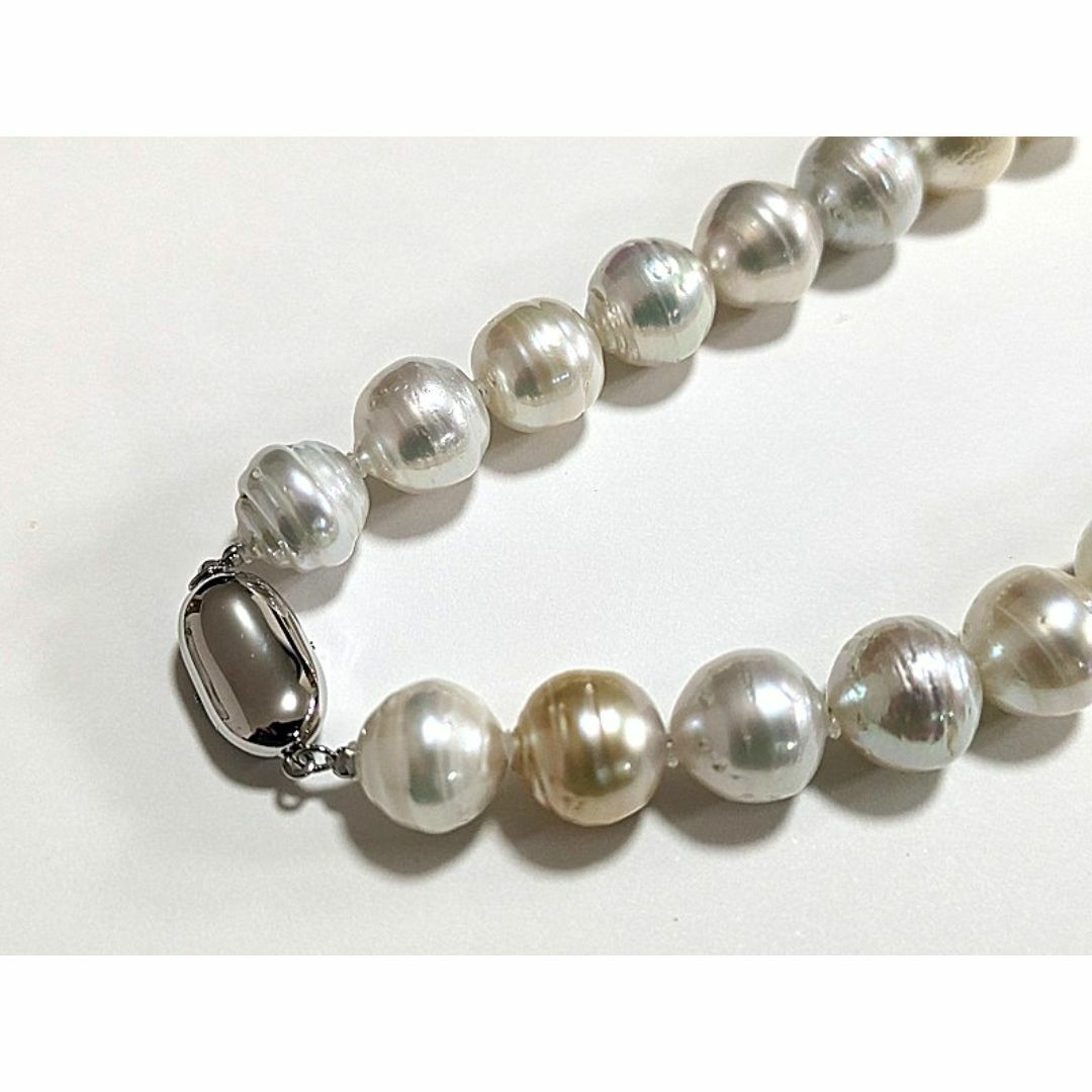 pearl - 一味違うお洒落、個性的なサークルが魅力的 南洋白蝶 pearl - 一味違うお洒落、個性的なサークルが魅力的 南洋白蝶