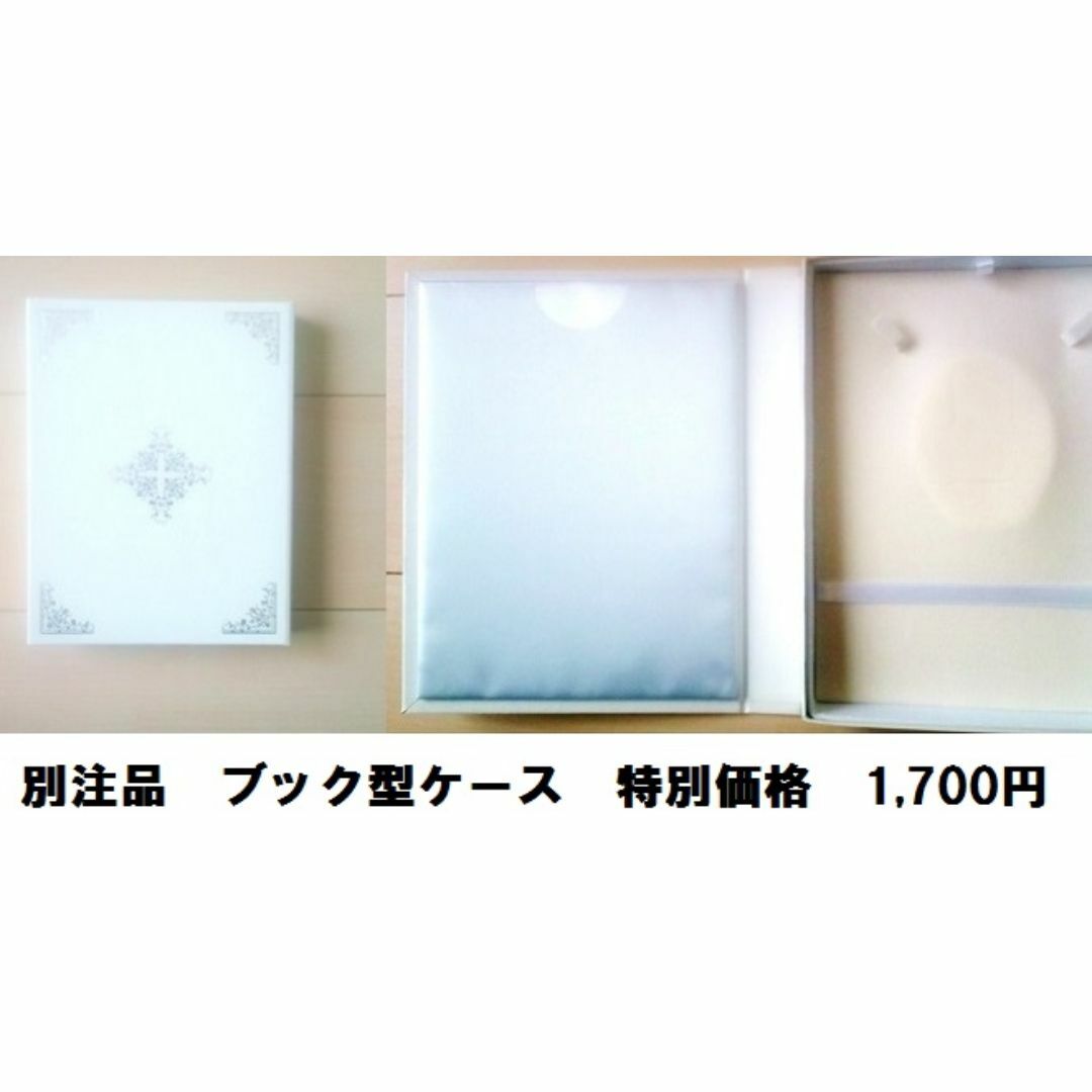 pearl - 一味違うお洒落、個性的なサークルが魅力的 南洋白蝶 pearl - 一味違うお洒落、個性的なサークルが魅力的 南洋白蝶
