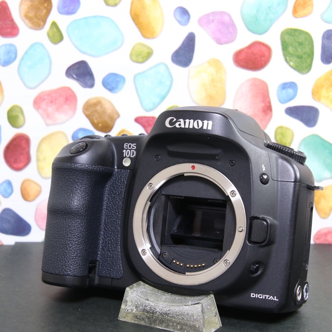 ♥︎◇Canon EOS 10D ◇おすすめ一眼レフ♪ ◇迷ったらこのカメラ♪ ♥︎◇Canon EOS 10D ◇おすすめ一眼レフ♪ ◇迷ったらこのカメラ♪
