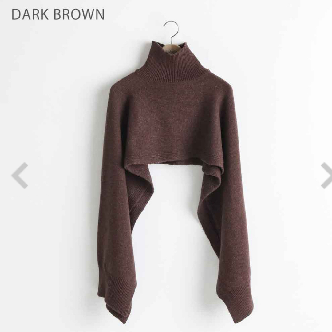 TODAYFUL - 新品♡ TODAYFUL Lambwool Turtle Stole ブラウンの TODAYFUL - 新品♡ TODAYFUL Lambwool Turtle Stole ブラウンの