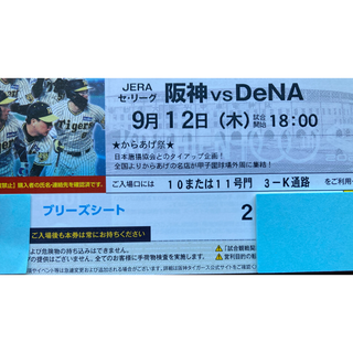 ハンシンタイガース(阪神タイガース)の9/12(木)　阪神ーDeNA　銀傘内・通路横ブリーズシートペア(野球)