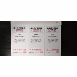 USMH ユナイテッドスーパー マルエツ カスミ 株主優待券 15,000円分(ショッピング)