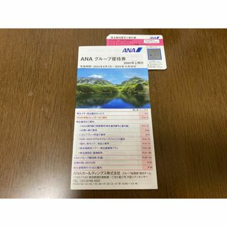 ANA株主優待券6枚  2025年5月31日まで(その他)