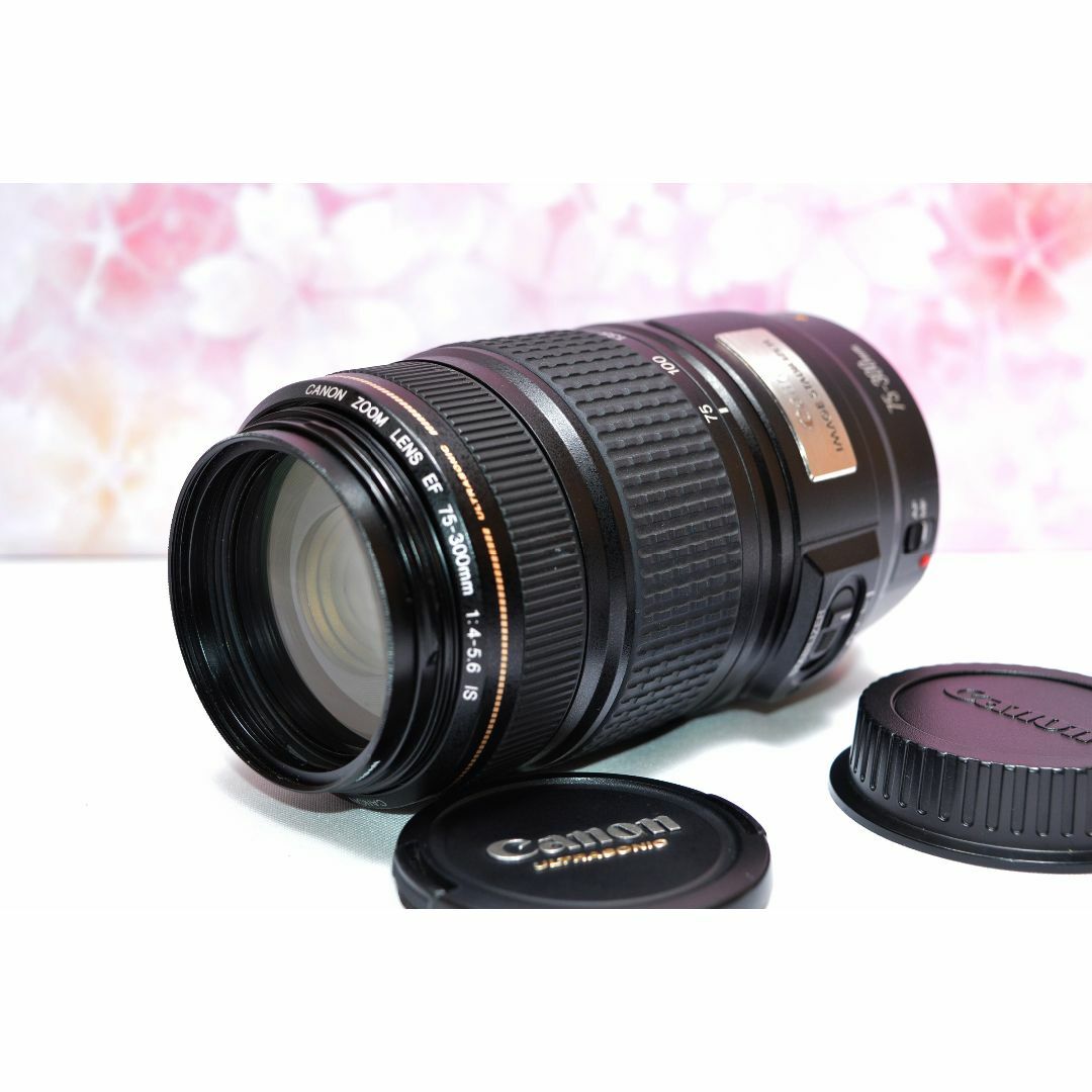 Canon - 美品 Canon EF 75-300mm IS USM☆超望遠レンズ☆人気望遠！